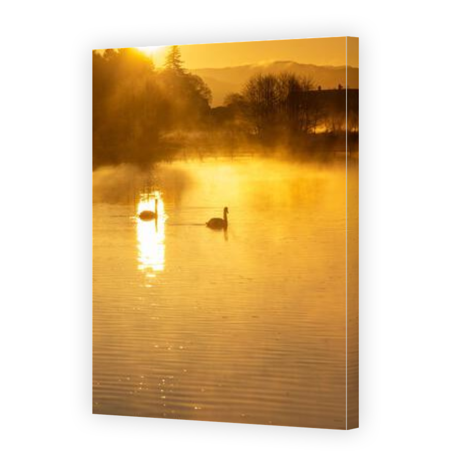 Thumbnail for Canvas - Gallery Canvas Wrap