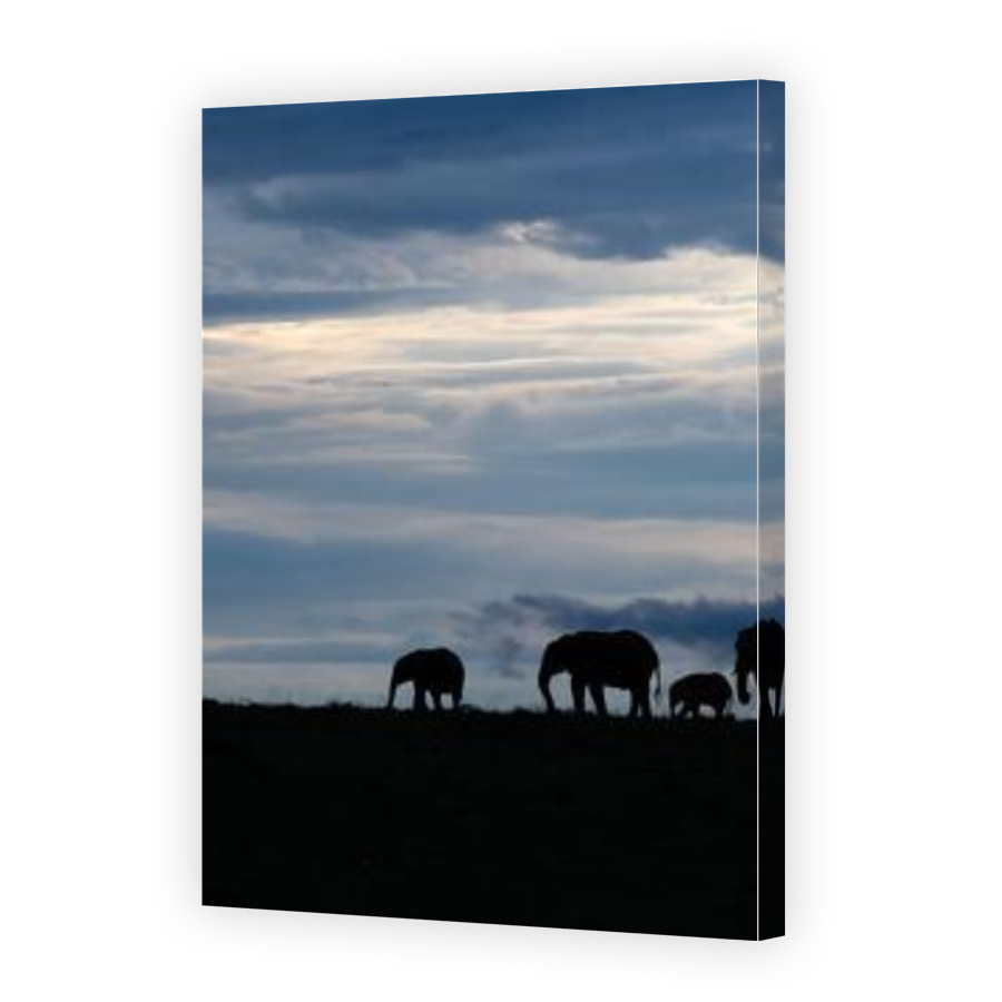 Thumbnail for Canvas - Gallery Canvas Wrap