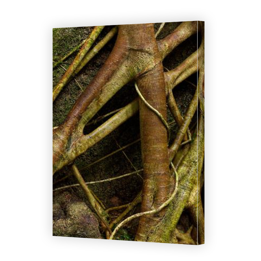 Thumbnail for Canvas - Gallery Canvas Wrap