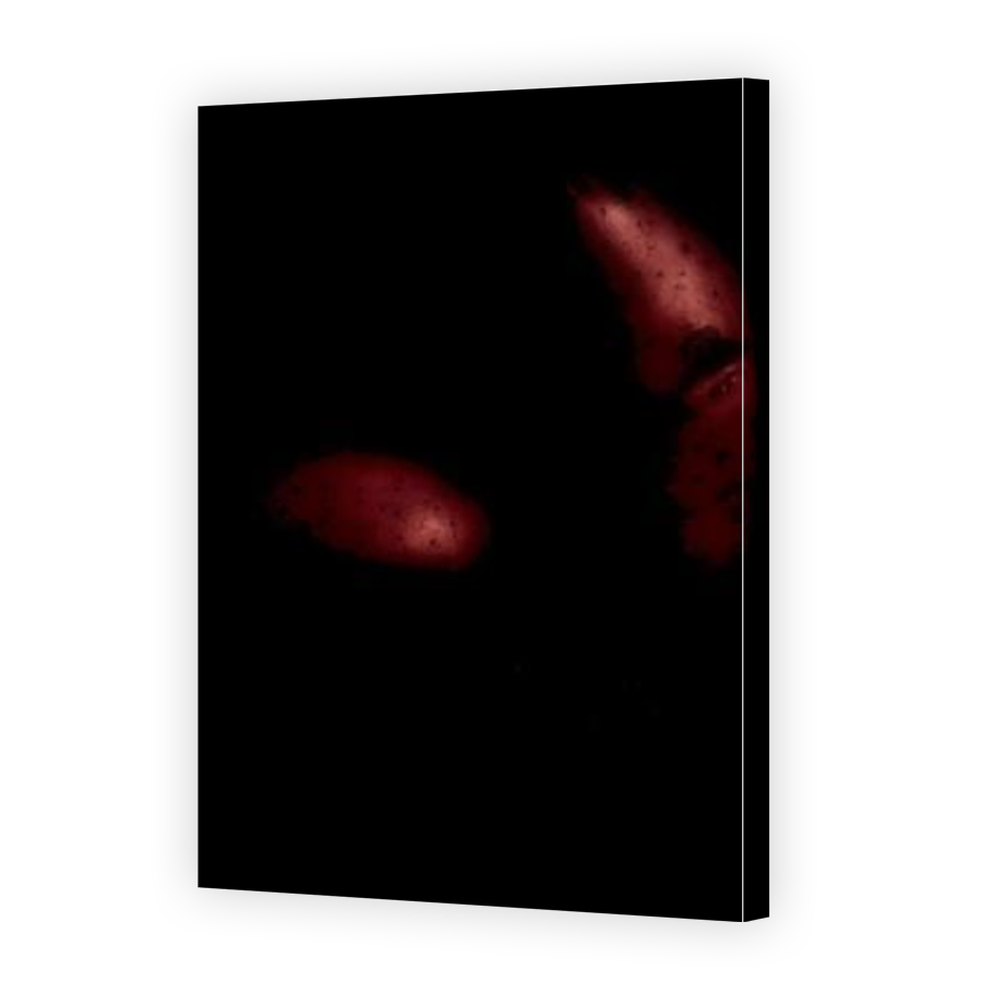 Thumbnail for Canvas - Gallery Canvas Wrap