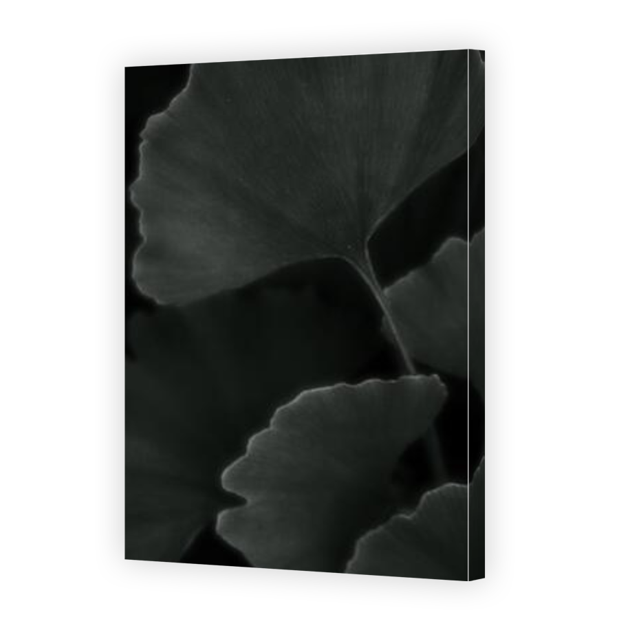Thumbnail for Canvas - Gallery Canvas Wrap