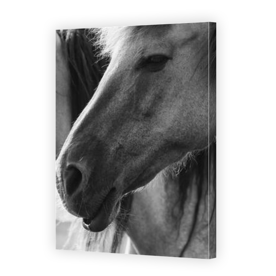 Thumbnail for Canvas - Gallery Canvas Wrap