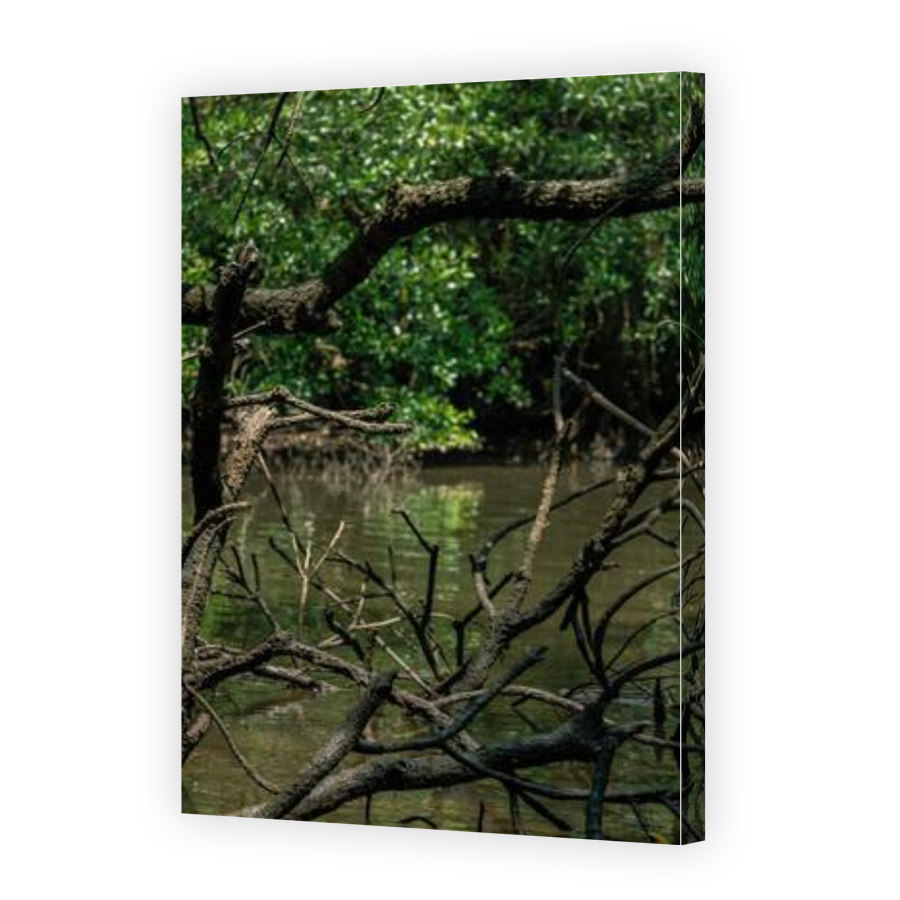 Thumbnail for Canvas - Gallery Canvas Wrap