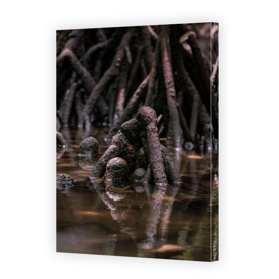 Thumbnail for Canvas - Gallery Canvas Wrap