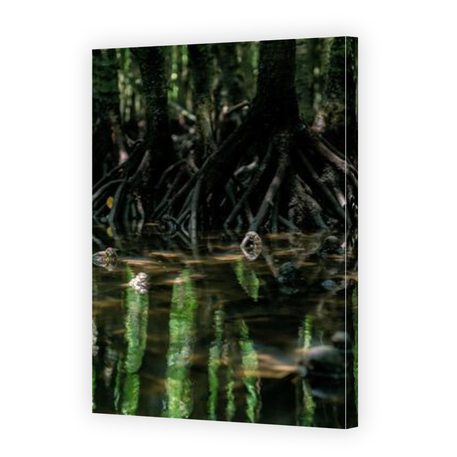 Thumbnail for Canvas - Gallery Canvas Wrap