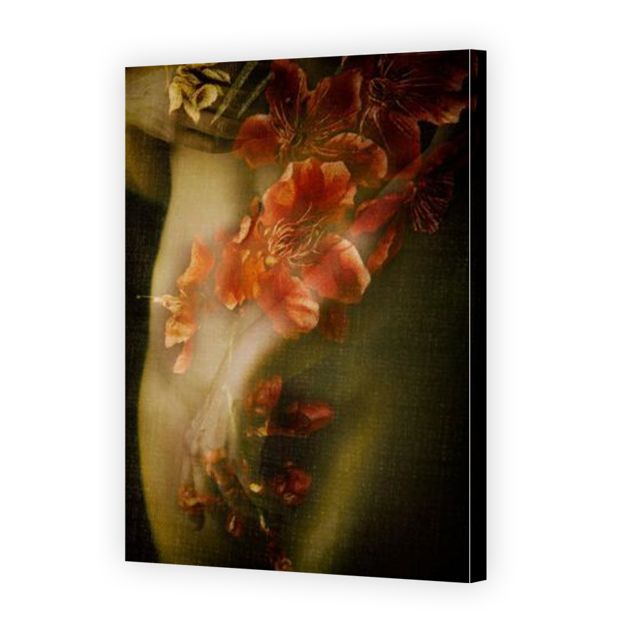 Thumbnail for Canvas - Gallery Canvas Wrap