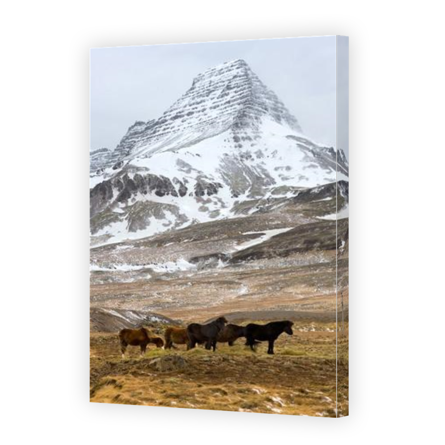 Thumbnail for Canvas - Gallery Canvas Wrap