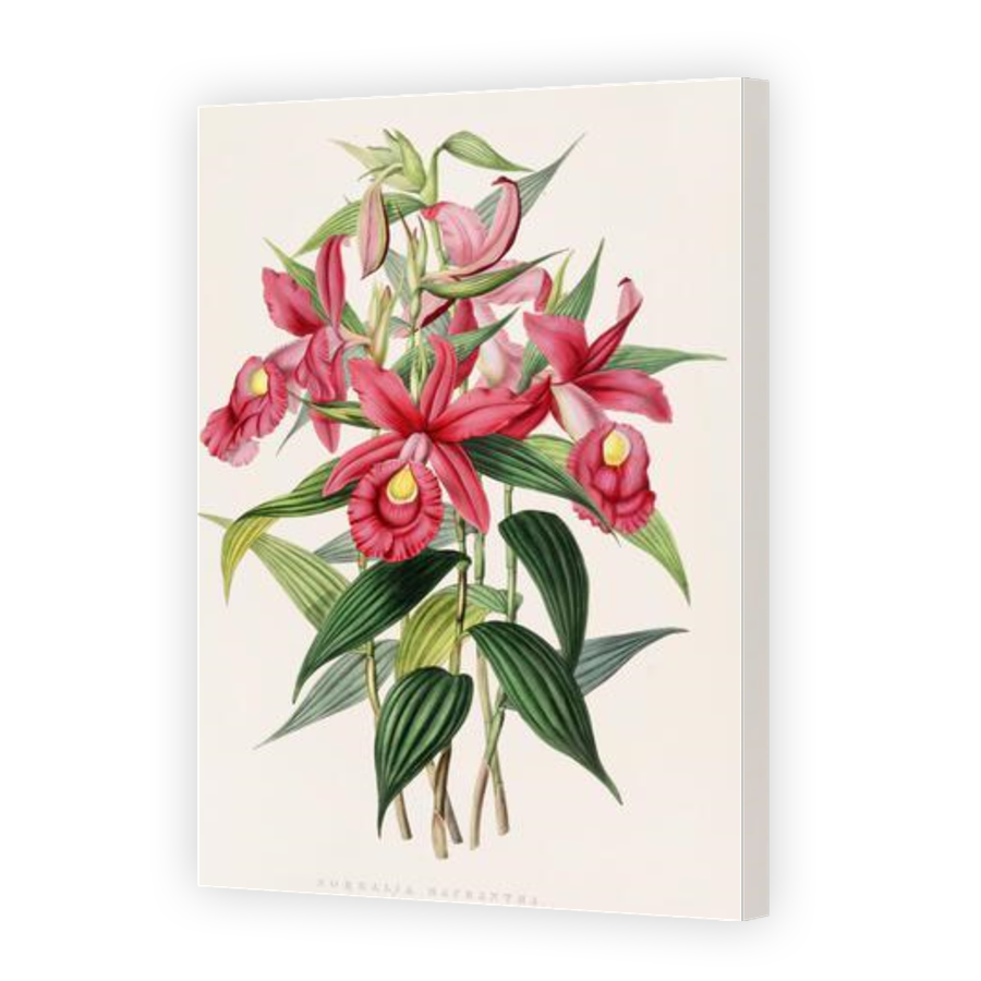 Thumbnail for Canvas - Gallery Canvas Wrap
