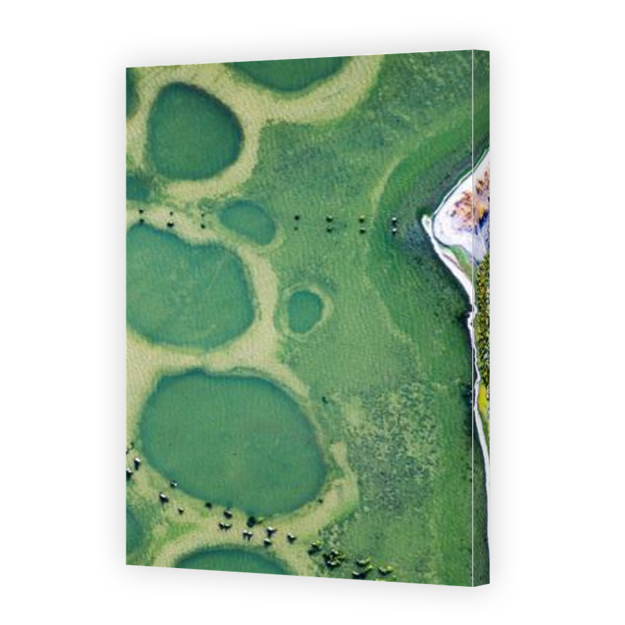 Thumbnail for Canvas - Gallery Canvas Wrap