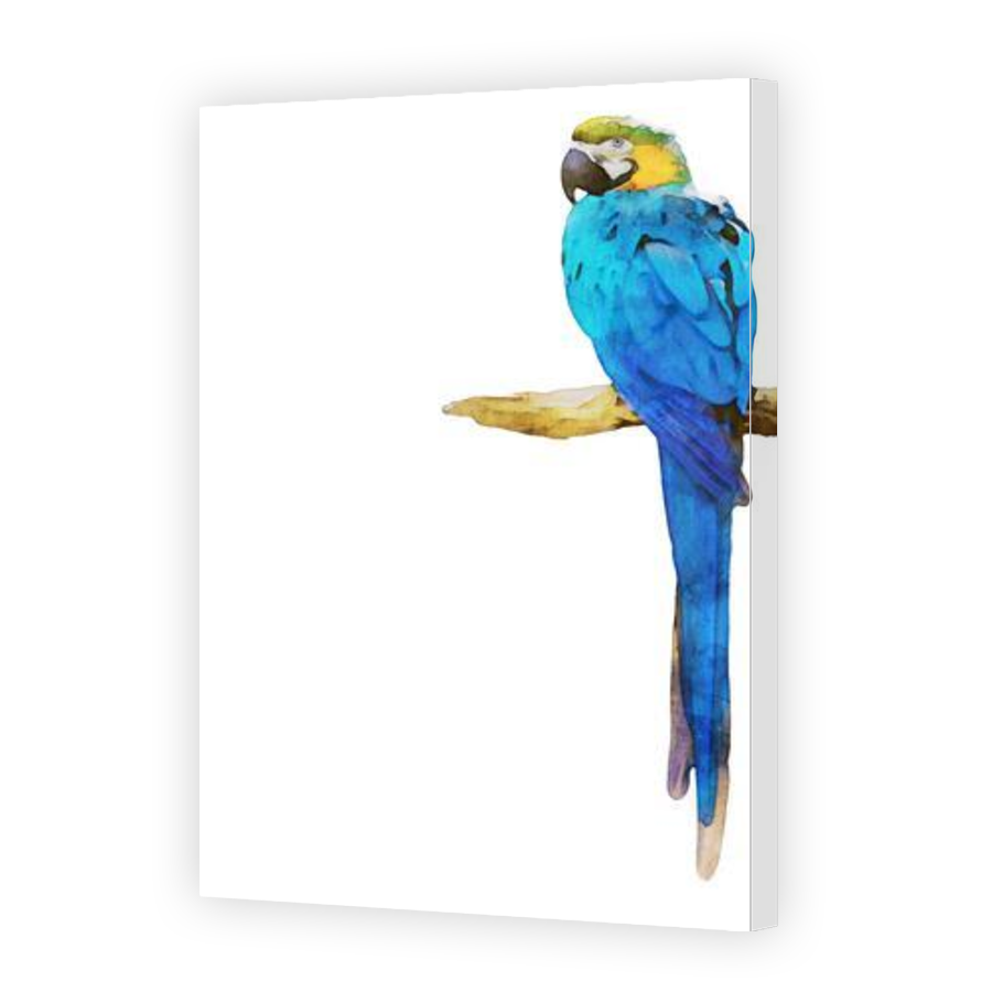 Thumbnail for Canvas - Gallery Canvas Wrap