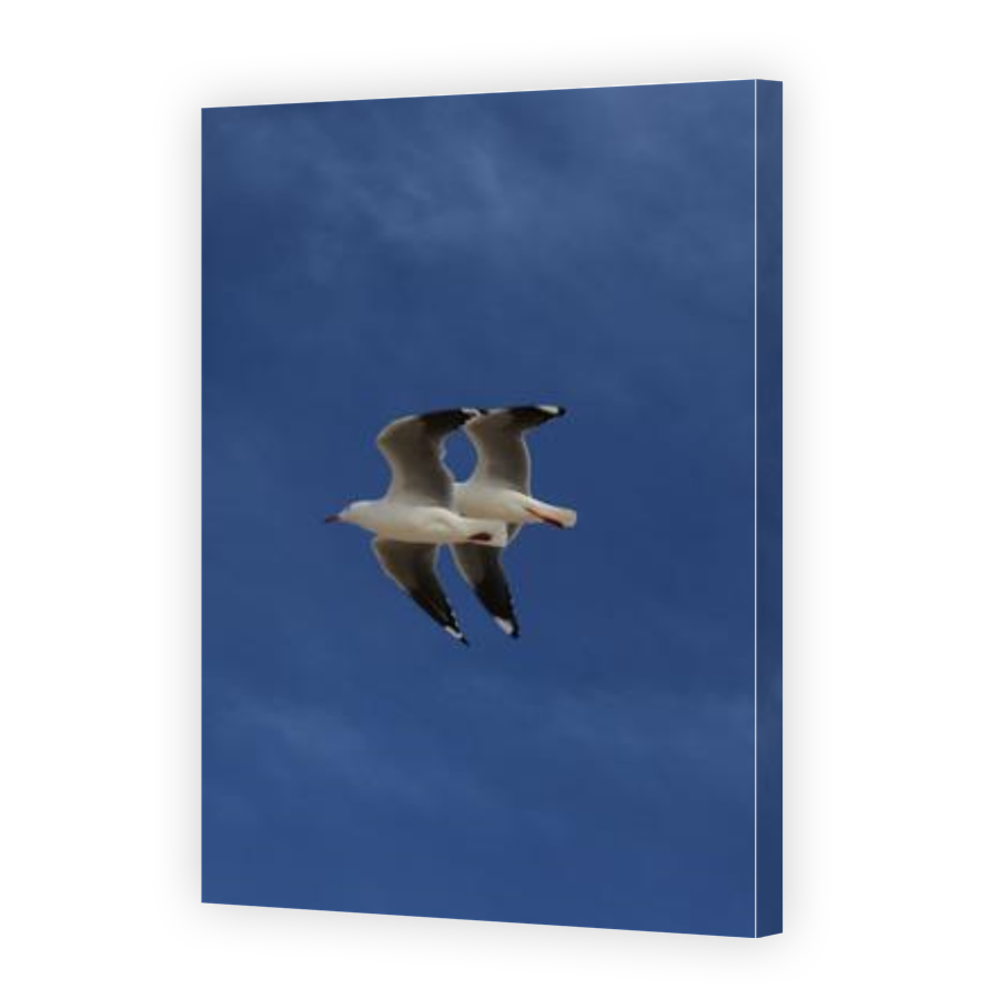 Thumbnail for Canvas - Gallery Canvas Wrap