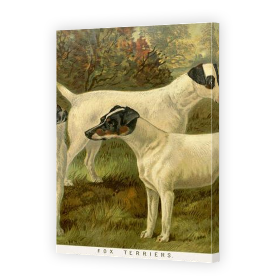 Thumbnail for Canvas - Gallery Canvas Wrap