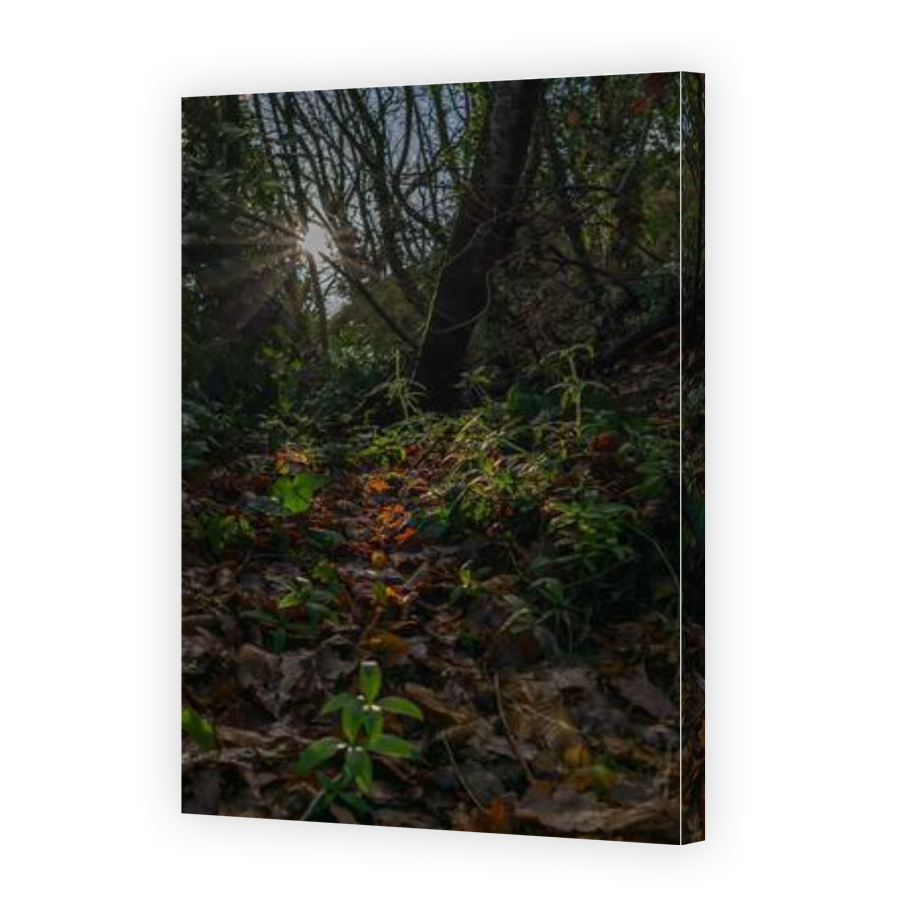Thumbnail for Canvas - Gallery Canvas Wrap