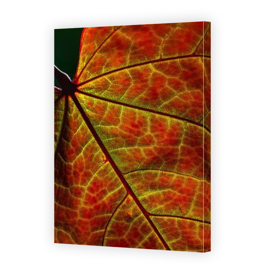 Thumbnail for Canvas - Gallery Canvas Wrap