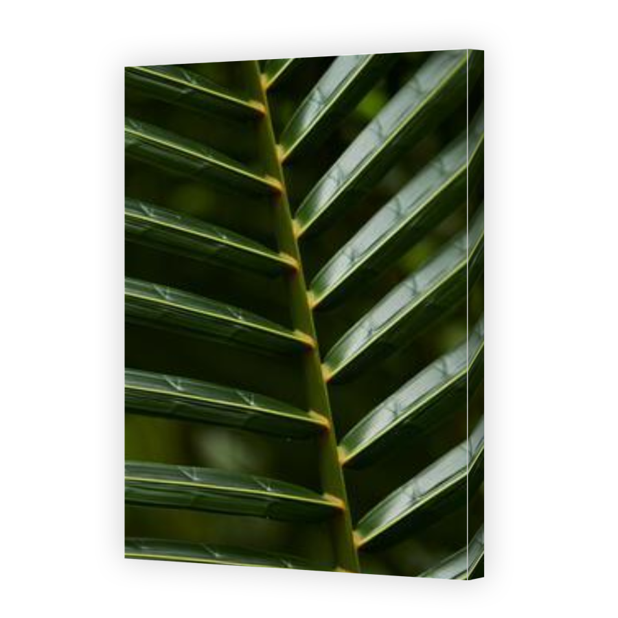 Thumbnail for Canvas - Gallery Canvas Wrap