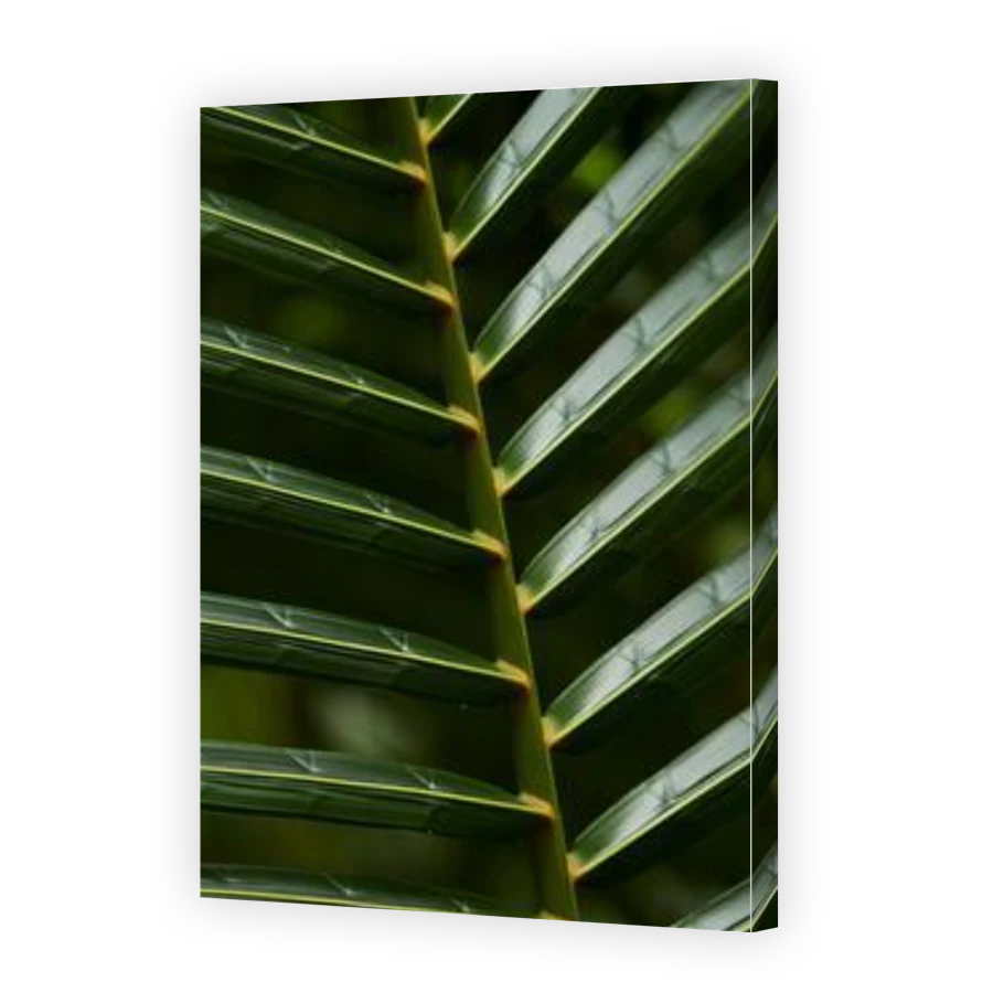 Thumbnail for Canvas - Gallery Canvas Wrap