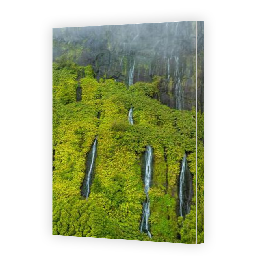 Thumbnail for Canvas - Gallery Canvas Wrap