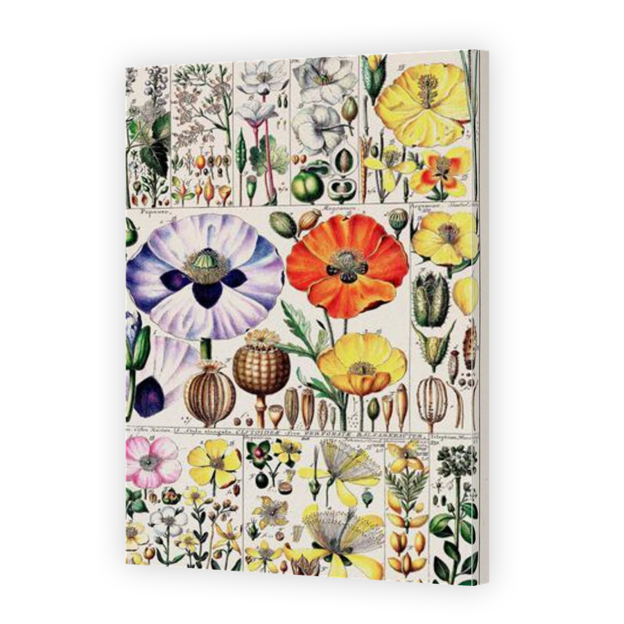 Thumbnail for Canvas - Gallery Canvas Wrap