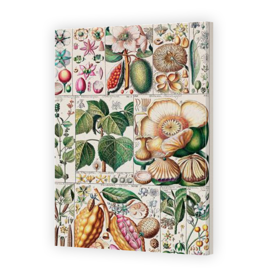 Thumbnail for Canvas - Gallery Canvas Wrap