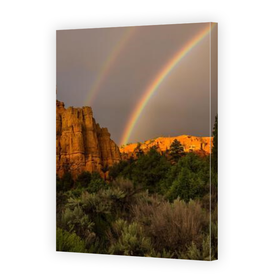 Thumbnail for Canvas - Gallery Canvas Wrap