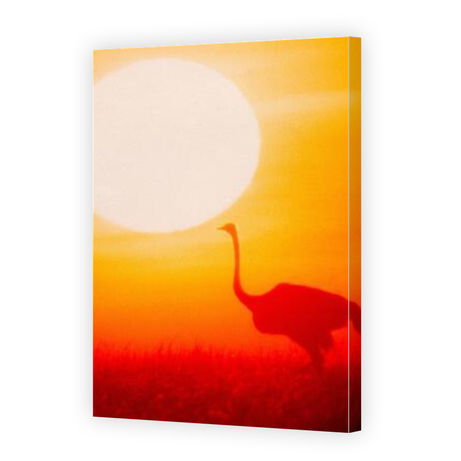 Thumbnail for Canvas - Gallery Canvas Wrap