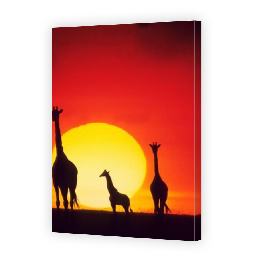 Thumbnail for Canvas - Gallery Canvas Wrap