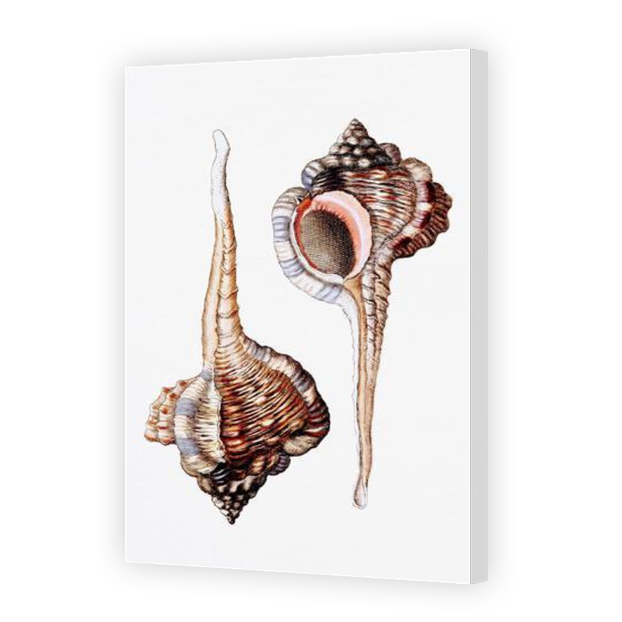 Thumbnail for Canvas - Gallery Canvas Wrap