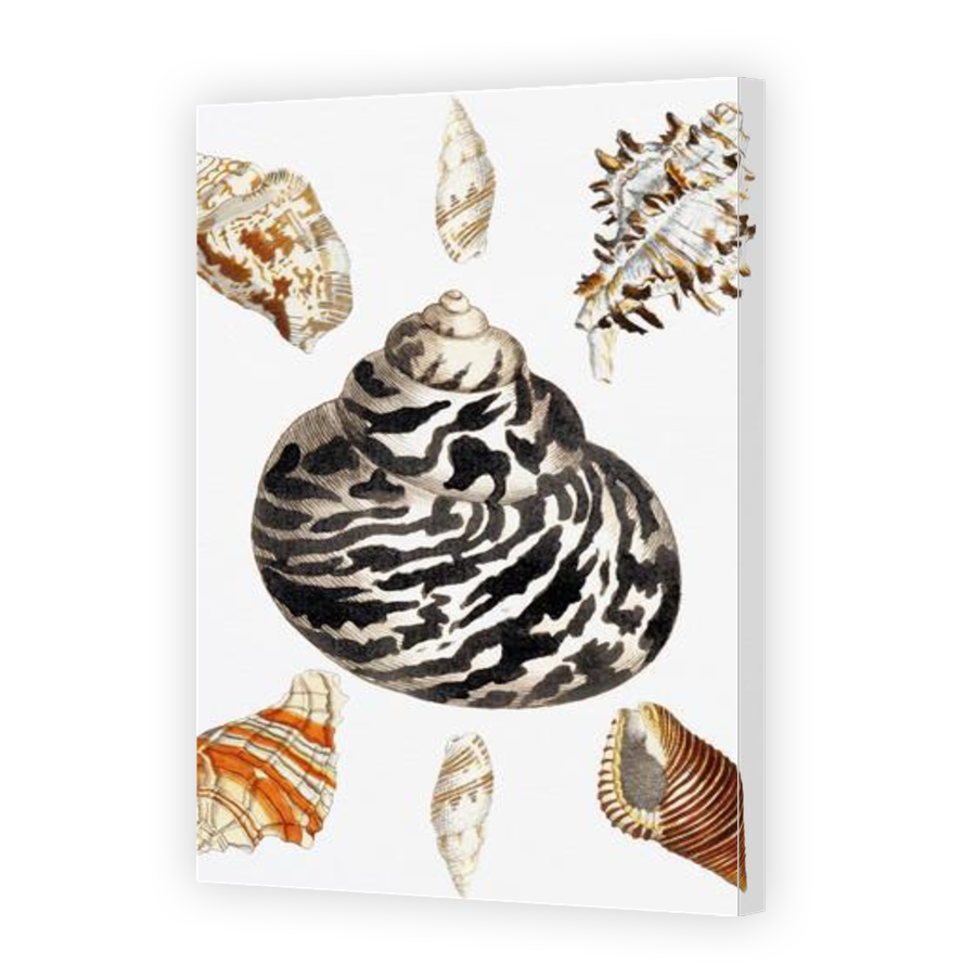 Thumbnail for Canvas - Gallery Canvas Wrap