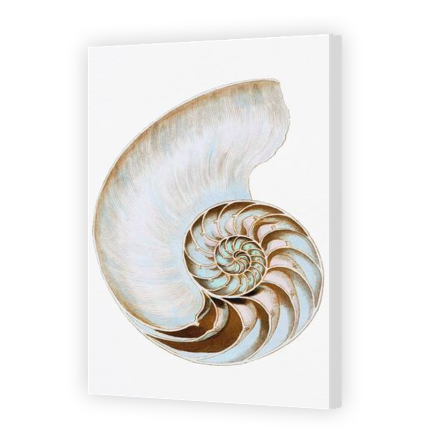 Thumbnail for Canvas - Gallery Canvas Wrap