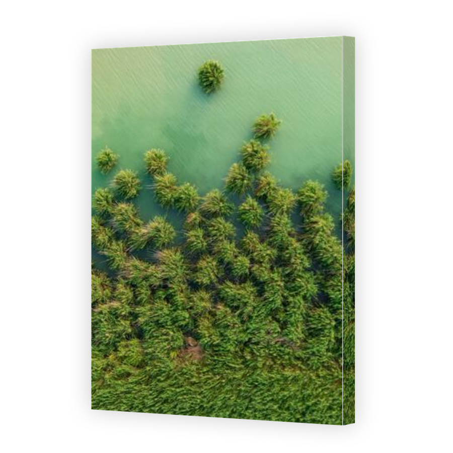 Thumbnail for Canvas - Gallery Canvas Wrap