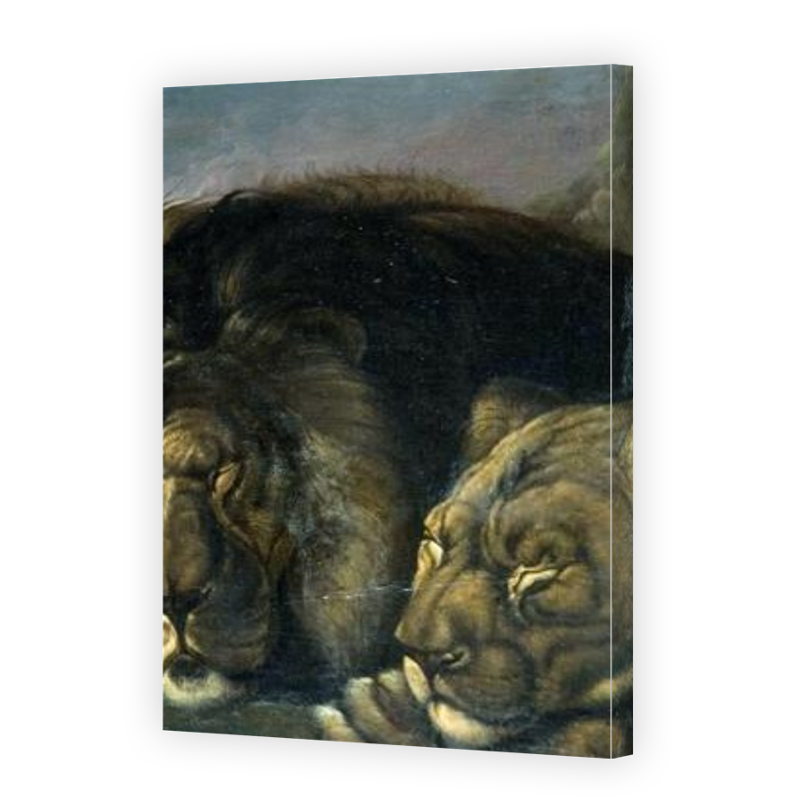 Thumbnail for Canvas - Gallery Canvas Wrap