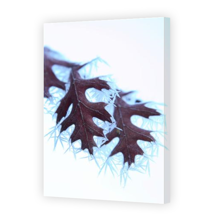 Thumbnail for Canvas - Gallery Canvas Wrap