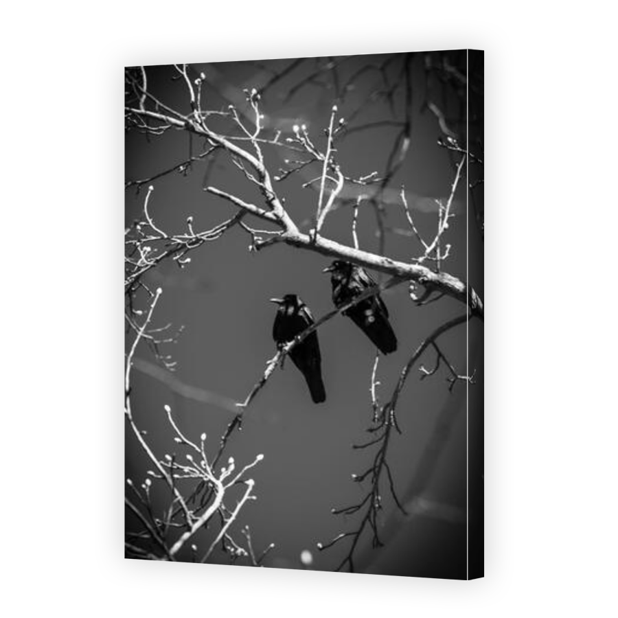 Thumbnail for Canvas - Gallery Canvas Wrap