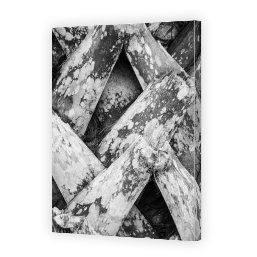 Thumbnail for Canvas - Gallery Canvas Wrap