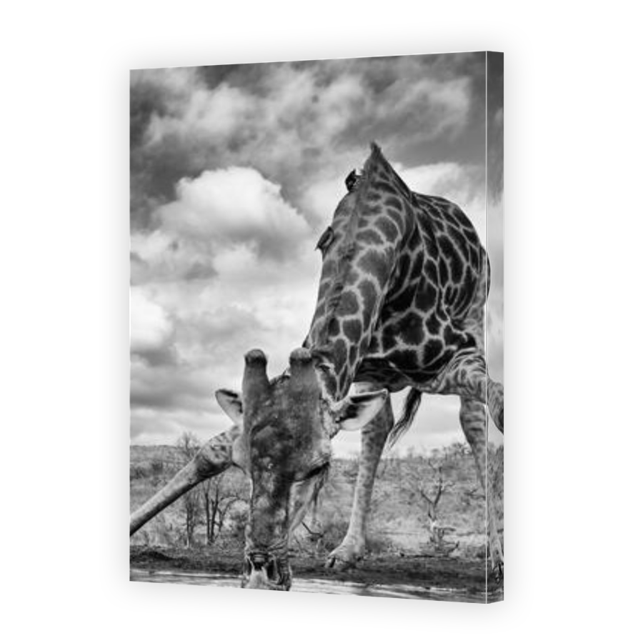 Thumbnail for Canvas - Gallery Canvas Wrap