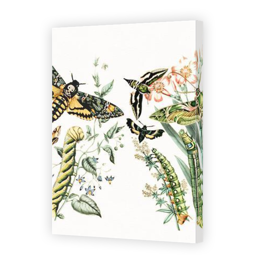 Thumbnail for Canvas - Gallery Canvas Wrap