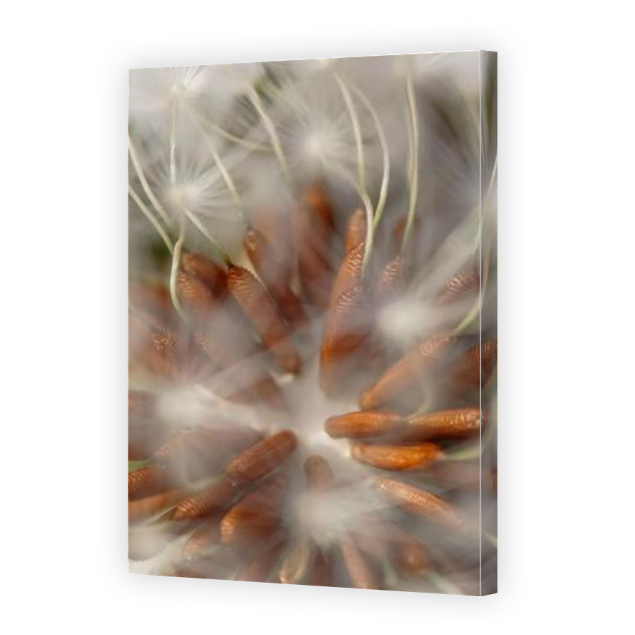 Thumbnail for Canvas - Gallery Canvas Wrap