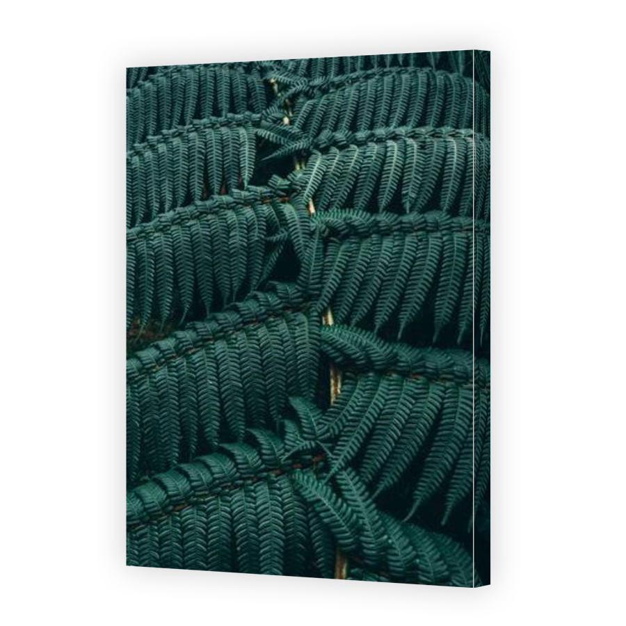 Thumbnail for Canvas - Gallery Canvas Wrap