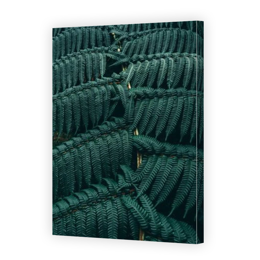 Thumbnail for Canvas - Gallery Canvas Wrap