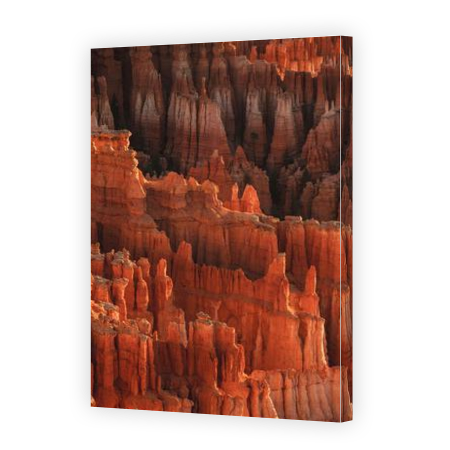 Thumbnail for Canvas - Gallery Canvas Wrap