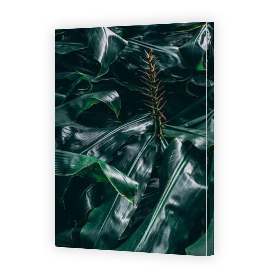 Thumbnail for Canvas - Gallery Canvas Wrap