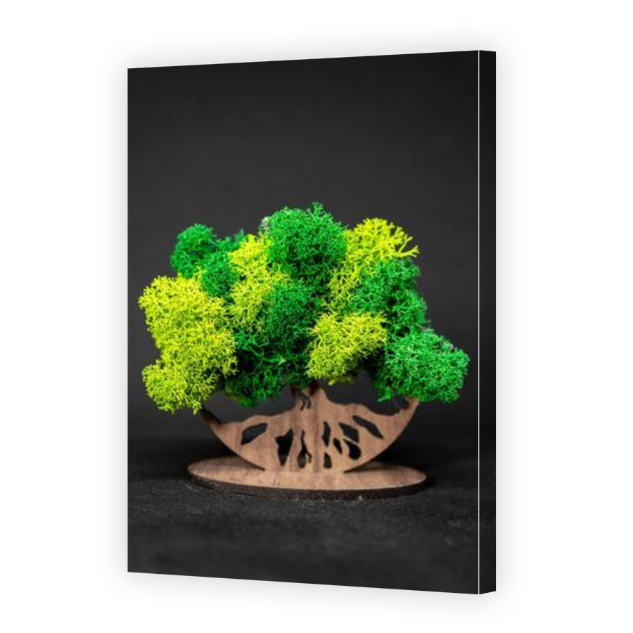 Thumbnail for Canvas - Gallery Canvas Wrap