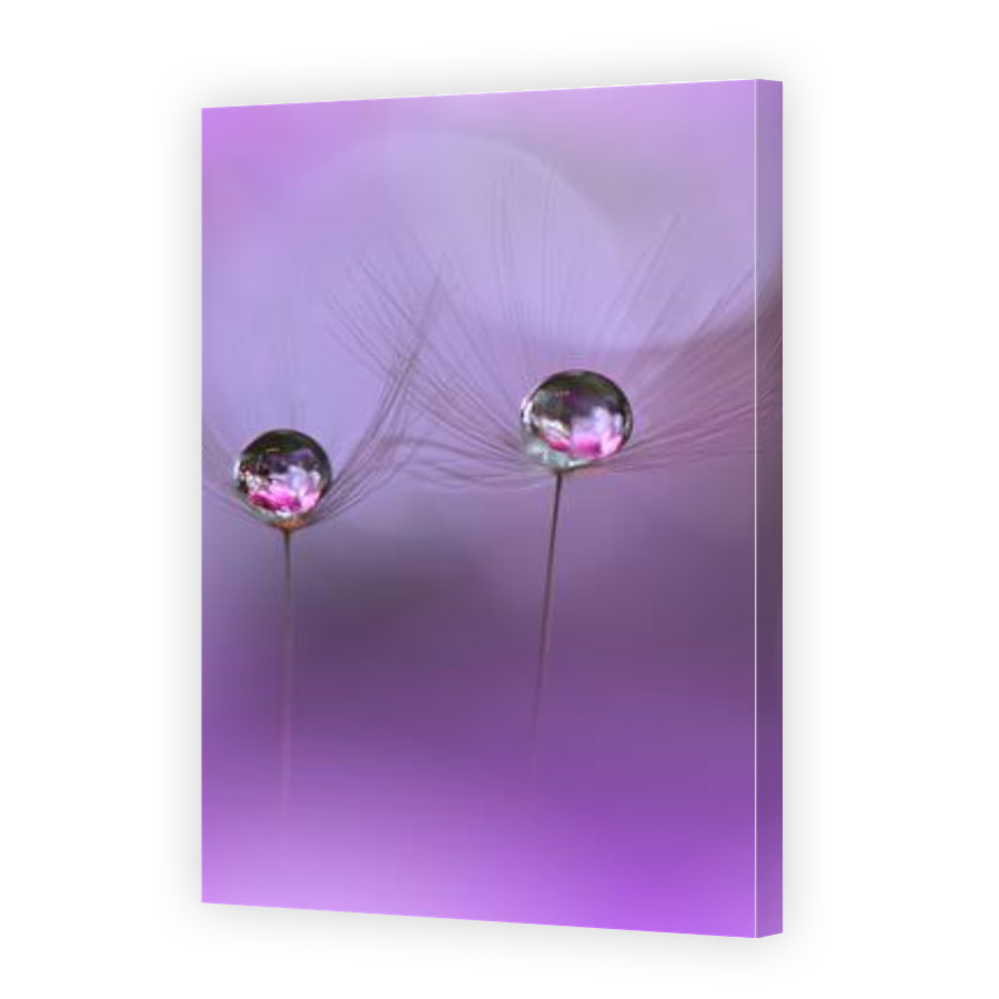 Thumbnail for Canvas - Gallery Canvas Wrap