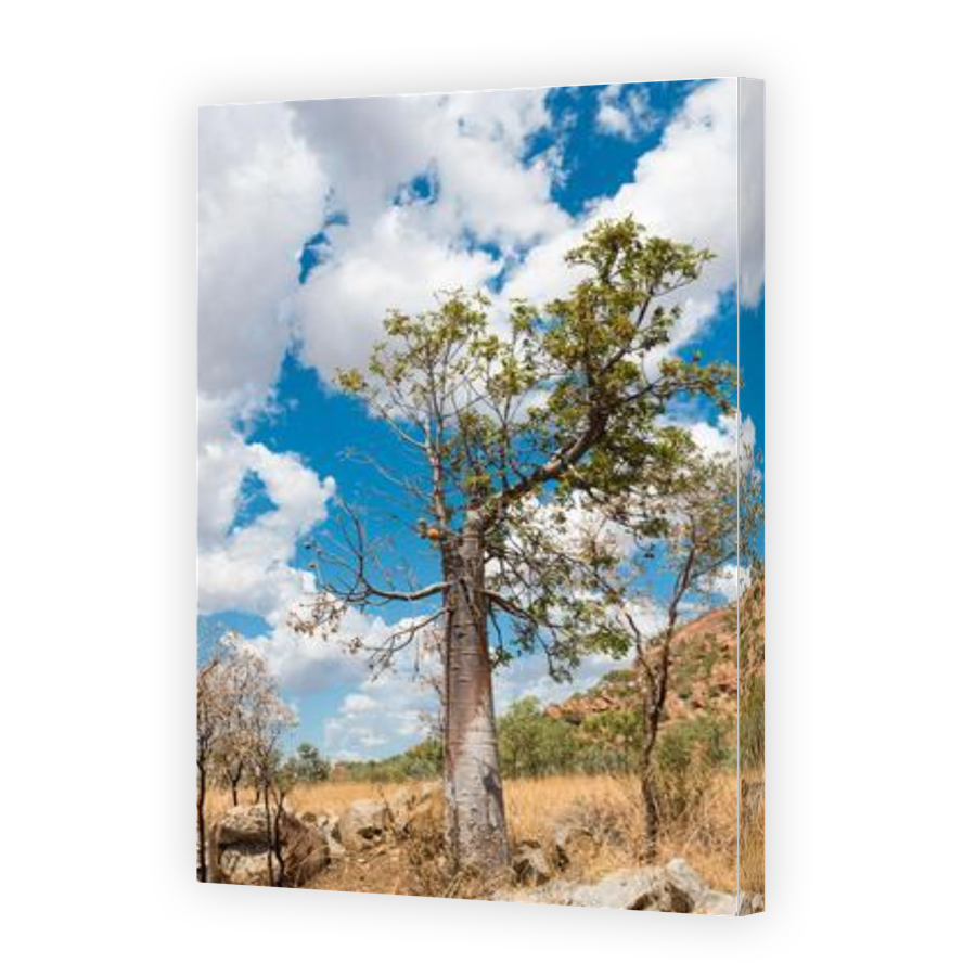 Thumbnail for Canvas - Gallery Canvas Wrap