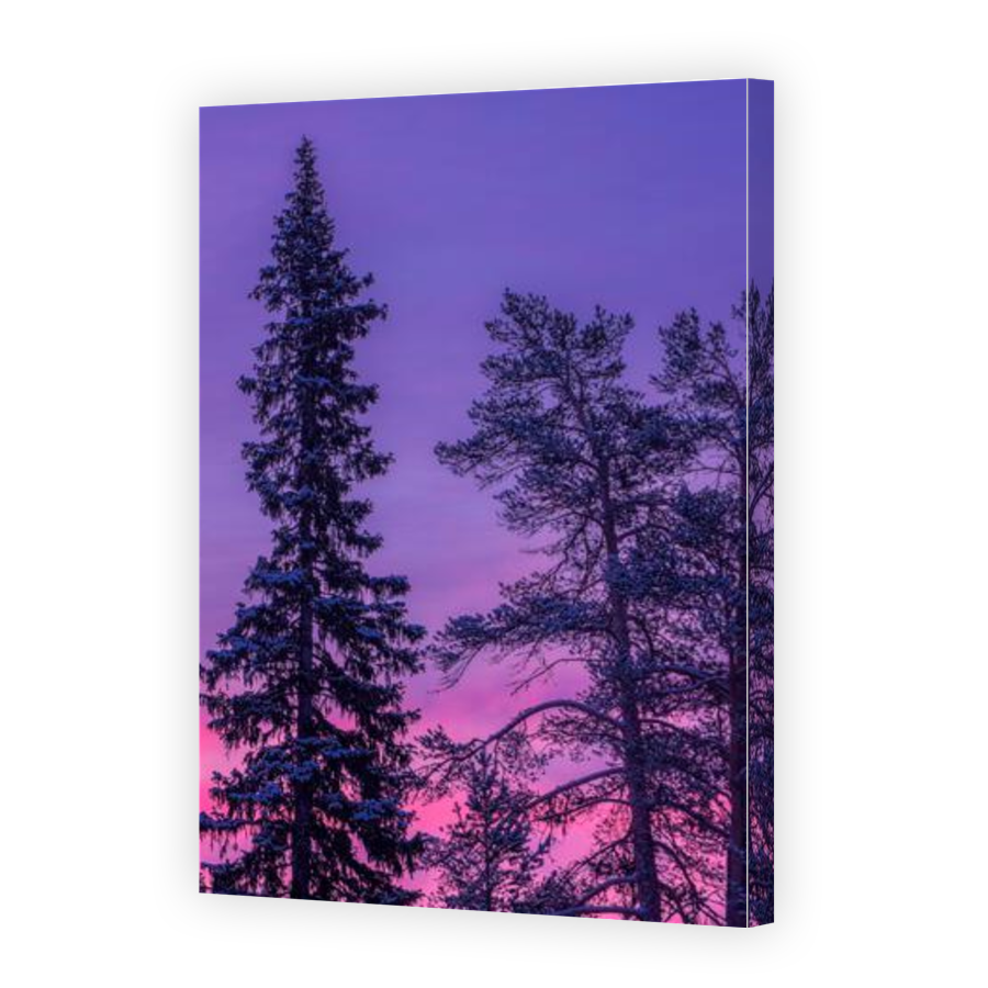 Thumbnail for Canvas - Gallery Canvas Wrap