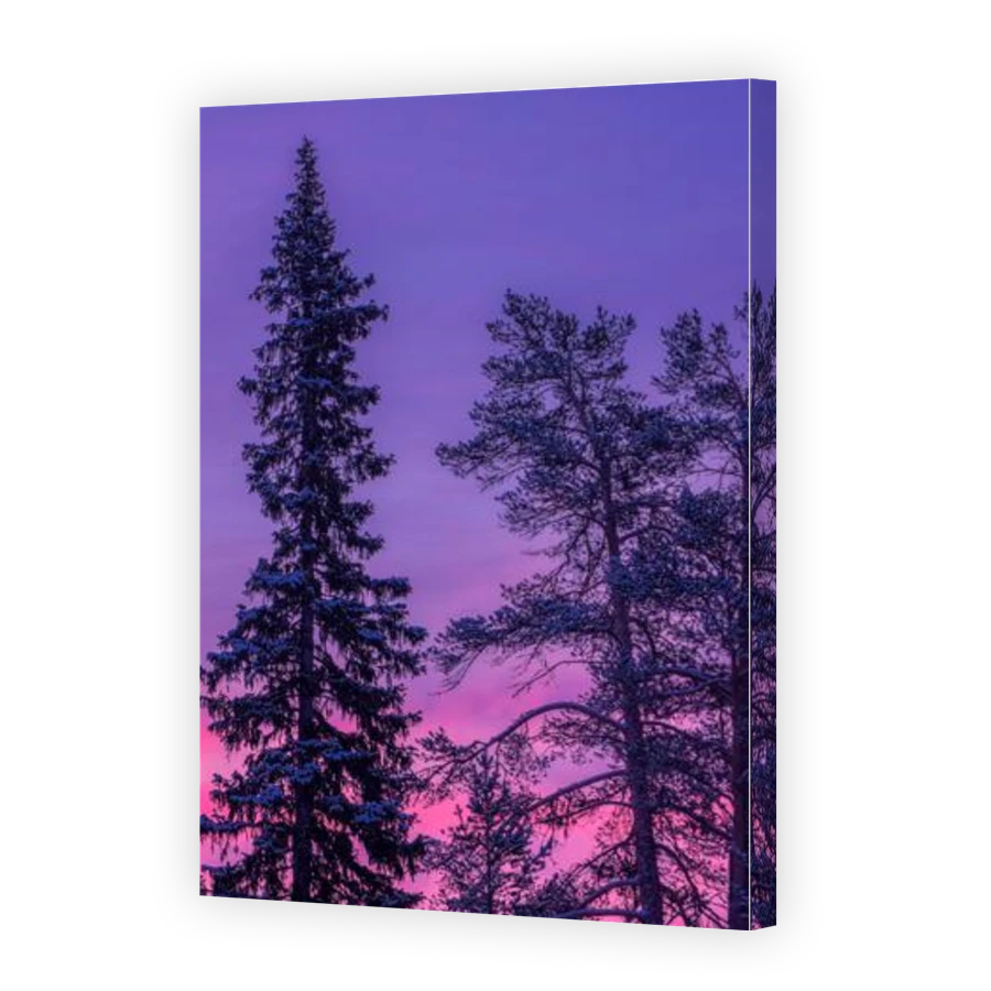 Thumbnail for Canvas - Gallery Canvas Wrap