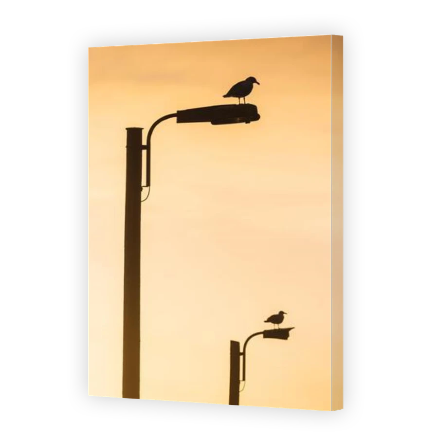 Thumbnail for Canvas - Gallery Canvas Wrap