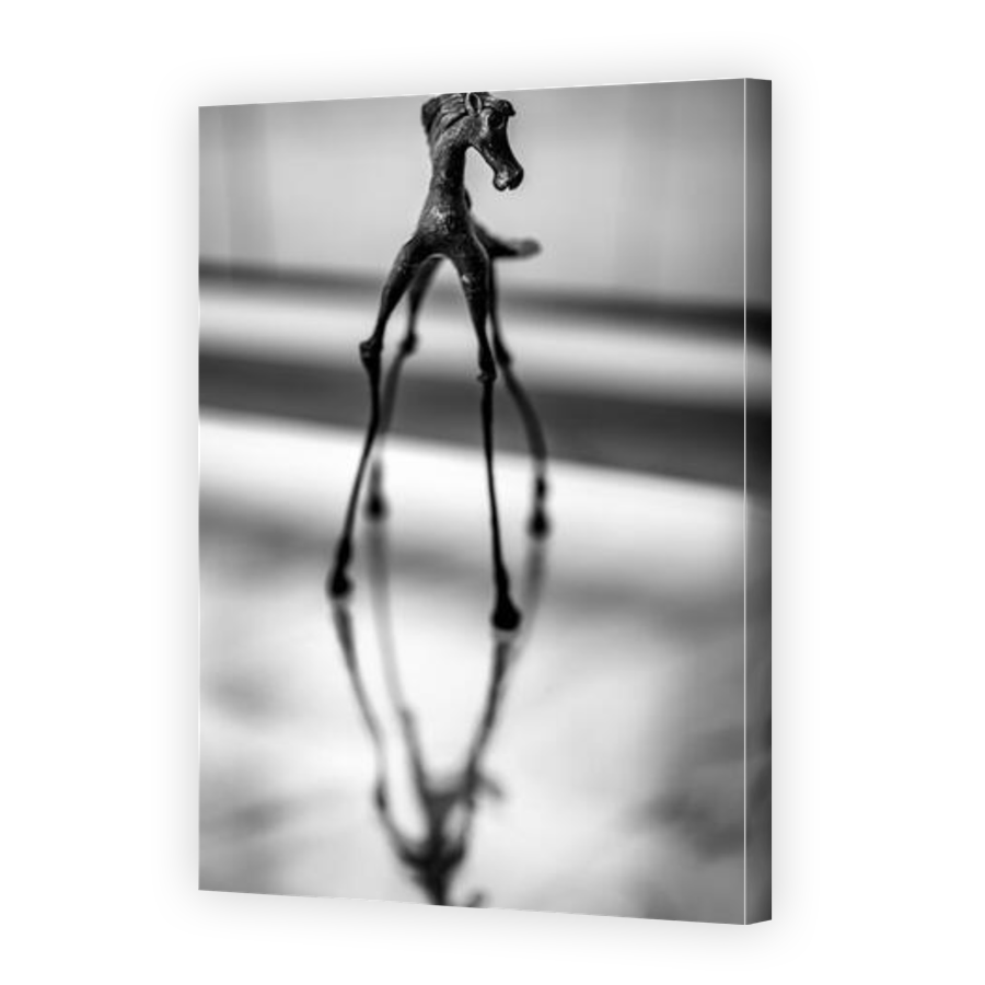 Thumbnail for Canvas - Gallery Canvas Wrap