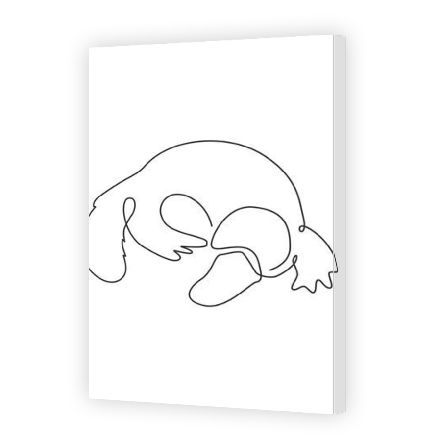 Thumbnail for Canvas - Gallery Canvas Wrap
