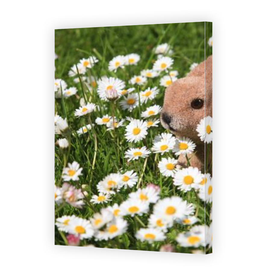 Thumbnail for Canvas - Gallery Canvas Wrap